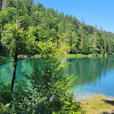 B&B Plitvica Villa Prica Плитвицька Єзера Екстер'єр фото