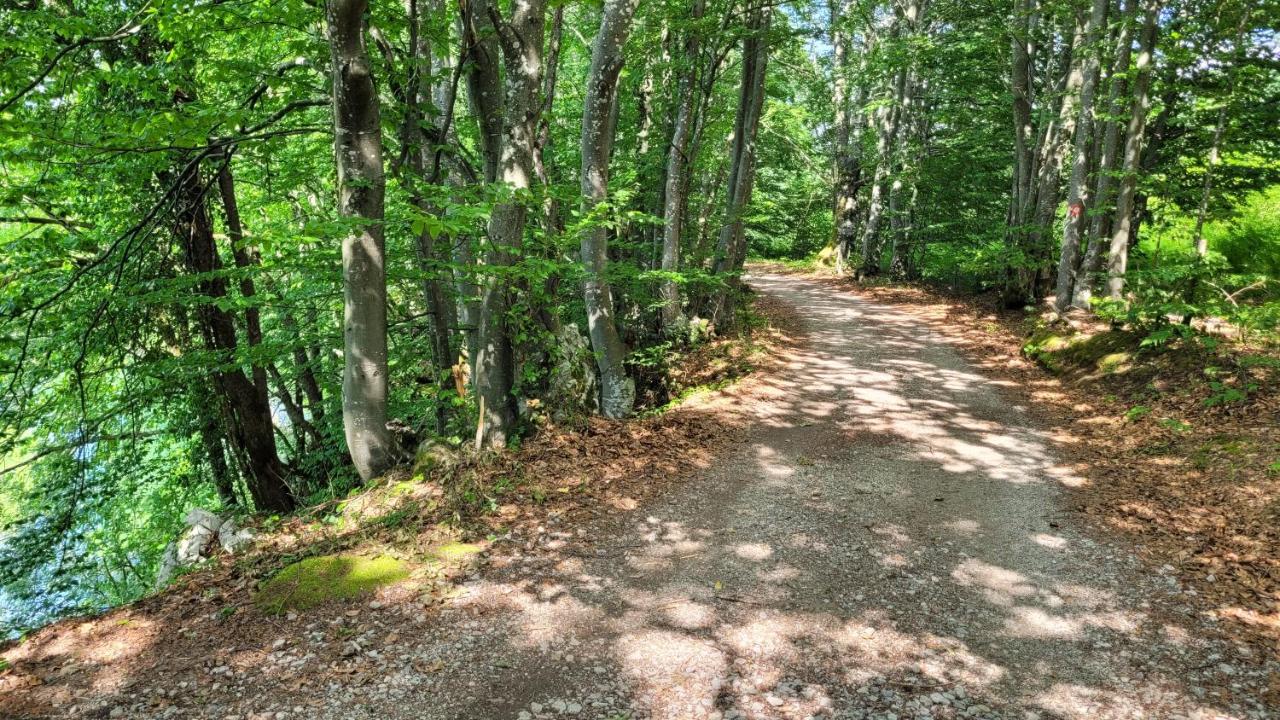B&B Plitvica Villa Prica Плитвицька Єзера Екстер'єр фото