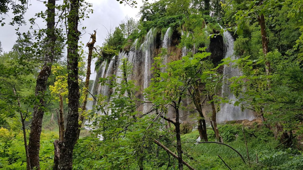 B&B Plitvica Villa Prica Плитвицька Єзера Екстер'єр фото